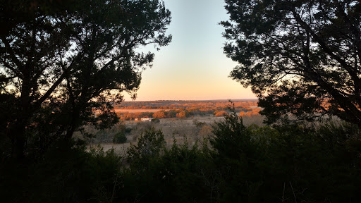 Bird watching area Killeen