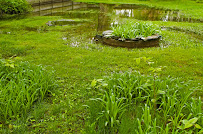 Conserva Irrigation of Charleston - Photo 7 - Car repair in North Charleston, SC, Charleston