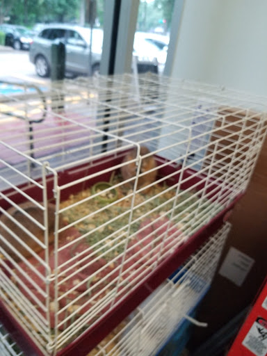 Pet Store «Animal Ark», reviews and photos, 2730 Brookdale Dr, Kingwood, TX 77339, USA