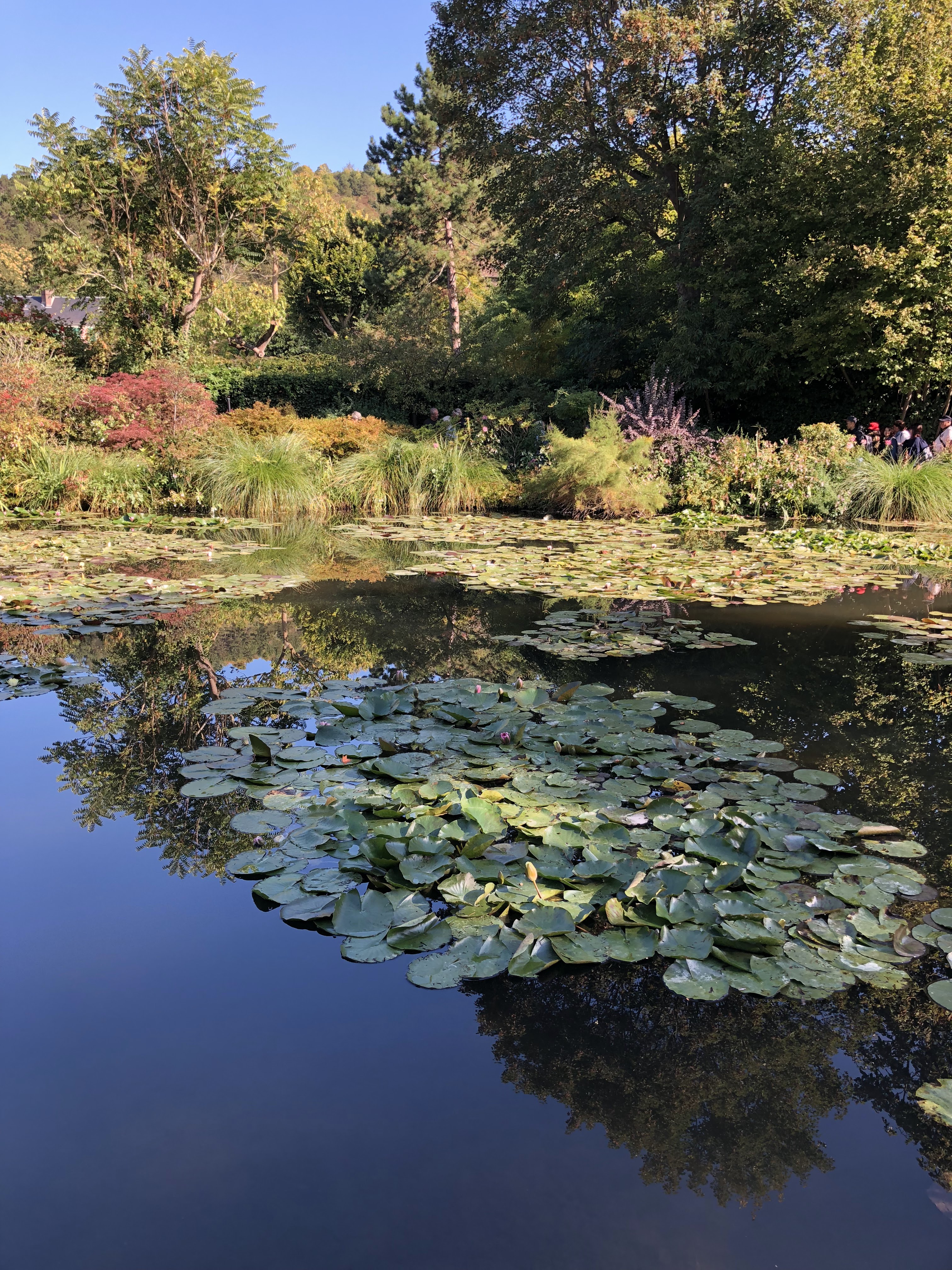 Photo n° 7 de l'avis de Igor.a fait le 25/10/2018 à 12:29