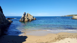 Playa del Sarello'in fotoğrafı - rahatlamayı sevenler arasında popüler bir yer