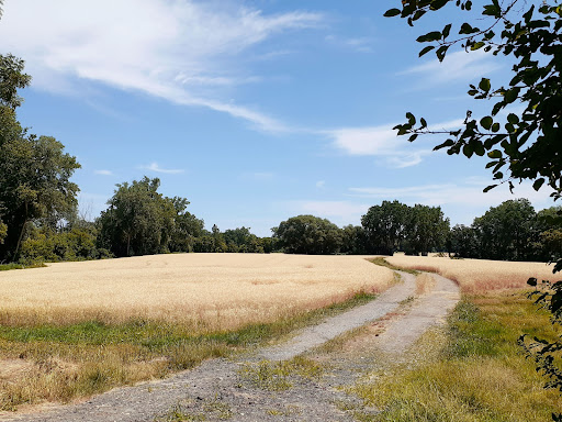 Nature Preserve «Canawaugus Park», reviews and photos, Rochester St, Scottsville, NY 14546, USA