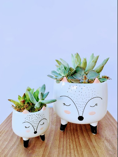 Florist «Timp Valley Floral», reviews and photos, 445 E State St, American Fork, UT 84003, USA