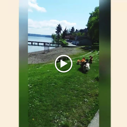 Park «Colman Park», reviews and photos, 1800 Lake Washington Blvd S, Seattle, WA 98144, USA