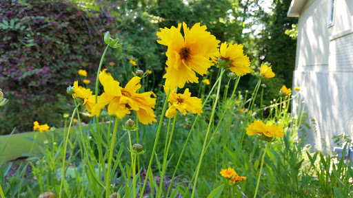 Fabric Store «Intown Quilters, Inc.», reviews and photos, 1058 Mistletoe Rd, Decatur, GA 30033, USA