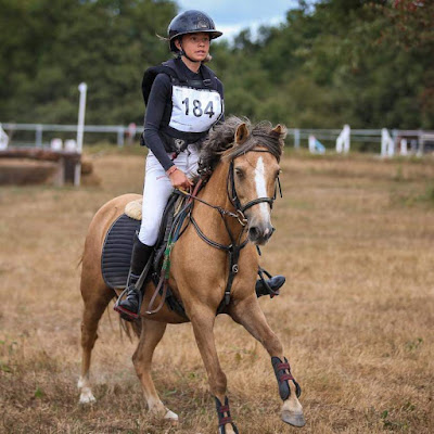 LA JUMENTERIE DE LEVIS - centre équestre - pension pour chevaux à Lurcy-Lévis