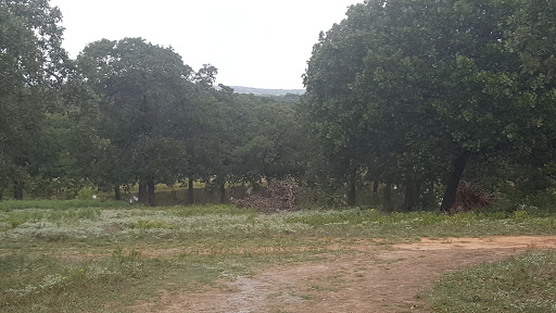 Golf Club «Lantana Golf Club», reviews and photos, 800 Golf Club Dr, Argyle, TX 76226, USA