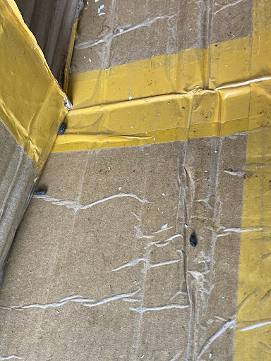 Self-Storage Facility «American Mini Storage», reviews and photos, 4108 Hickory Tree Rd, Balch Springs, TX 75180, USA