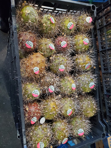 Supermarket «Santa Fe Mercados Inc», reviews and photos, 870 S White Rd, San Jose, CA 95127, USA