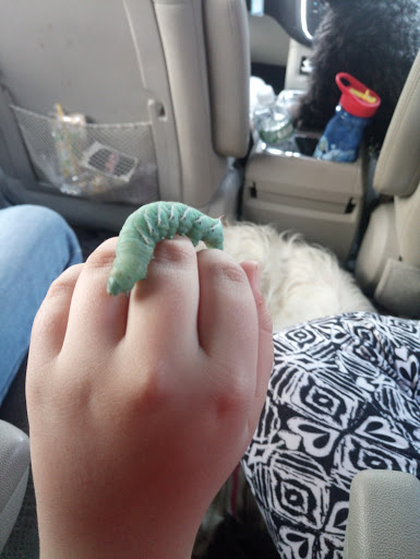 Pet Supply Store «CountryMax - Brockport», reviews and photos, 4875 Lake Rd N, Brockport, NY 14420, USA