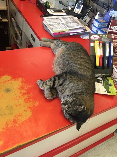 Home Improvement Store «Southfork Hardware - Grantsville», reviews and photos, 40 Commercial Avenue, Grantsville, UT 84029, USA