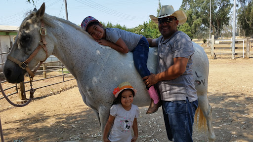 Pet Supply Store «Bradshaw Feed & Pet Supply», reviews and photos, 7285 Bradshaw Rd, Sacramento, CA 95829, USA