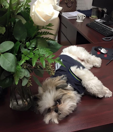 Insurance Agency «Youkie Chambers - State Farm Insurance Agent», reviews and photos