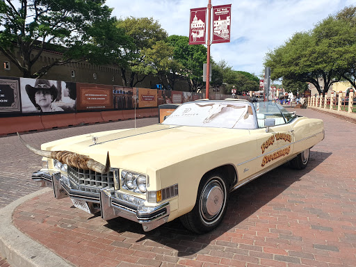 Zoo «Petting Zoo», reviews and photos, 829 E Exchange Ave, Fort Worth, TX 76164, USA