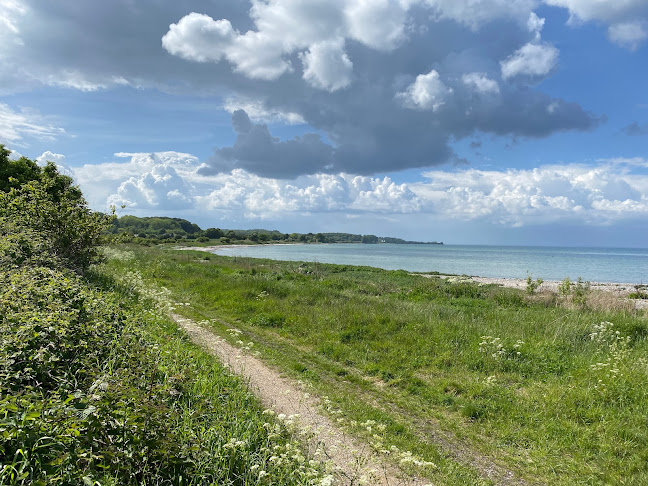 Opinii despre Tranerodde Fyr în Sønderborg - Museum