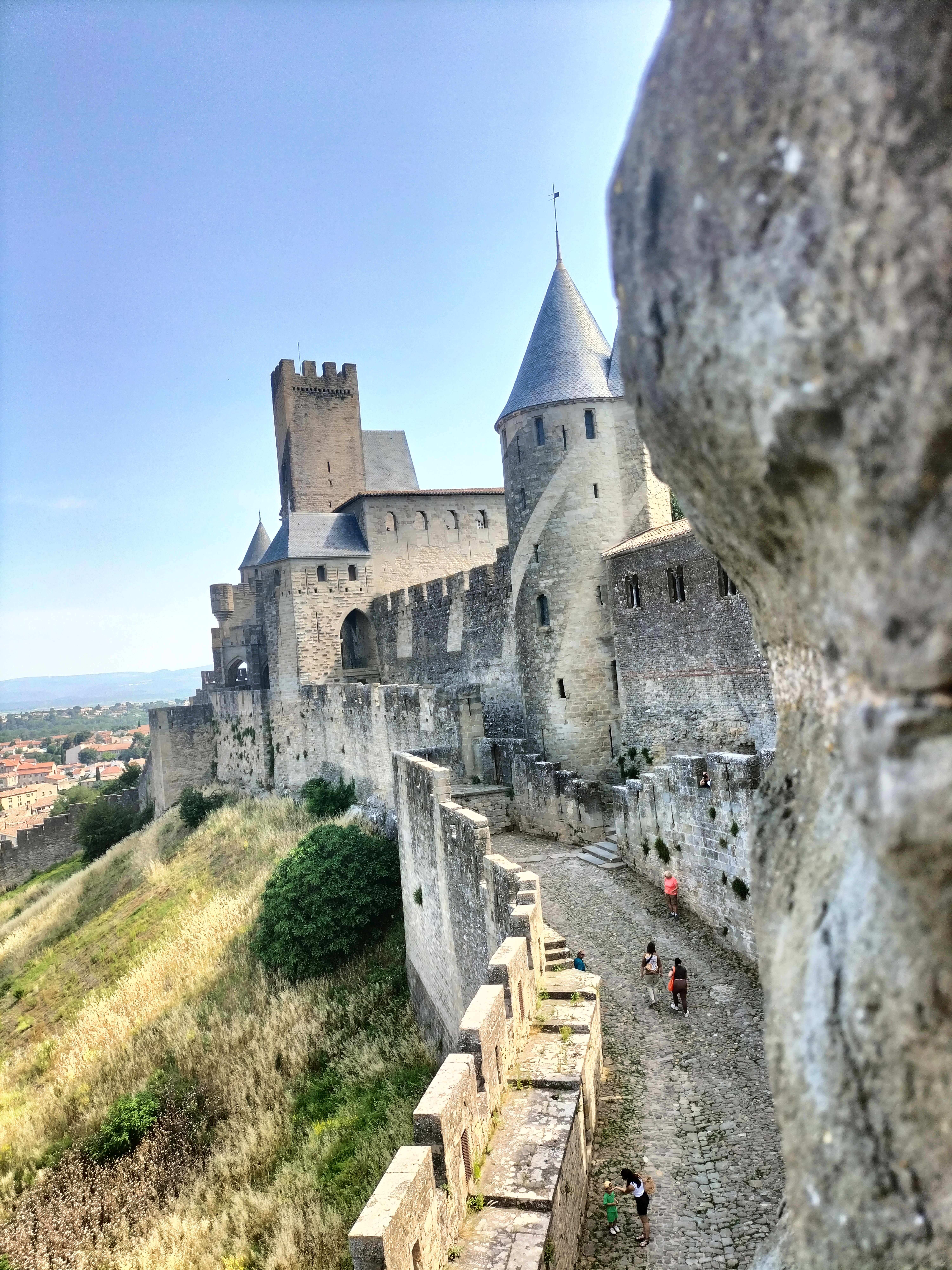 Photo n° 1 de l'avis de Élevage.a fait le 17/06/2023 à 09:25