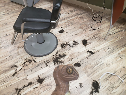 Hair Salon «Great Clips», reviews and photos, 36245 Euclid Ave, Willoughby, OH 44094, USA