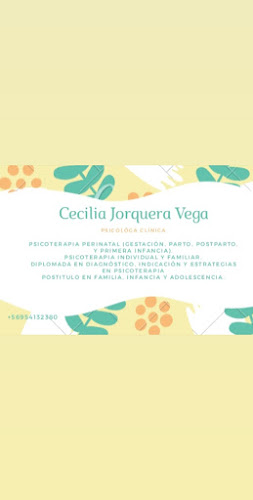 Cecilia Jorquera Vega - Psicólogo
