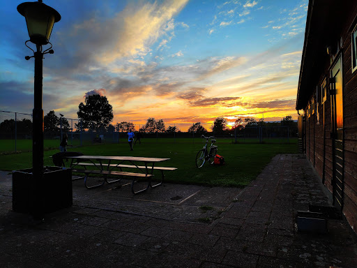 Honk- en Softbalvereniging Gophers