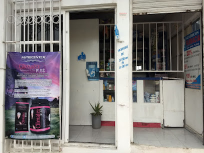 Farmacia San Judas Tadeo, , Entrada A Punta Gorda