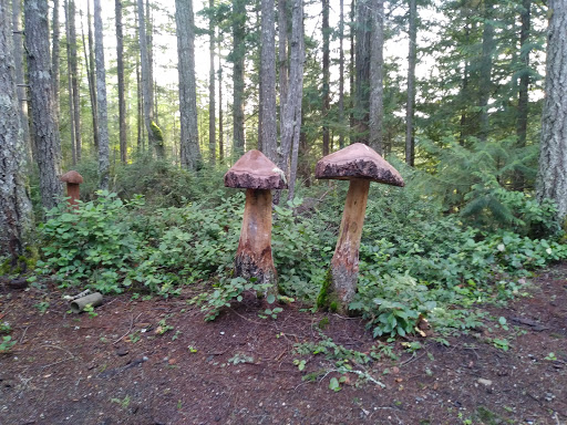 Performing Arts Theater «Kitsap Forest Theater», reviews and photos, 3000 Seabeck Hwy NW, Bremerton, WA 98312, USA