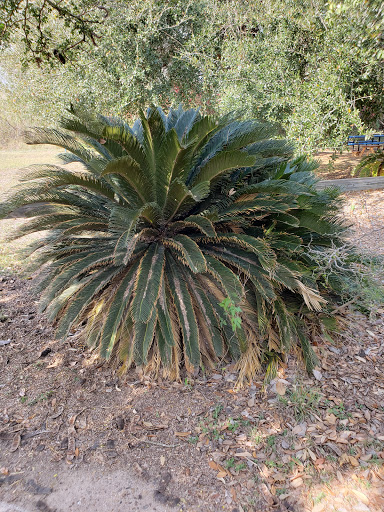 Nature Preserve «McAllen Nature Center», reviews and photos, 4101 U.S. 83 Business, McAllen, TX 78501, USA