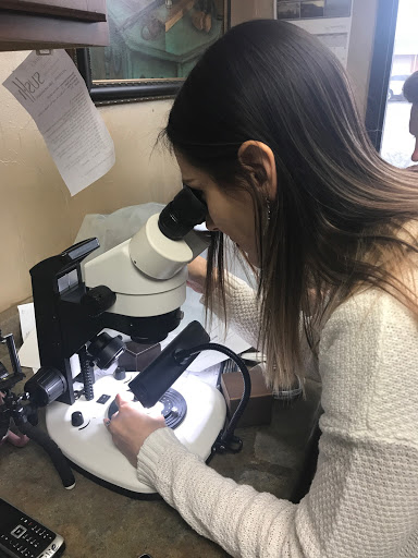 Explore barcelona tattoo ideas, creative tattoo ideas in Cadillac, available at Wexford Jewelers