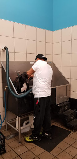 Pet Supply Store «Pet Supplies Plus», reviews and photos, 3200 E Agency St #200, Burlington, IA 52601, USA