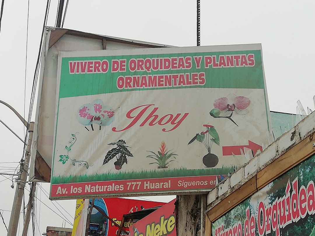 Vivero De Plantas Ornamentales Y Orquideas Jhoy
