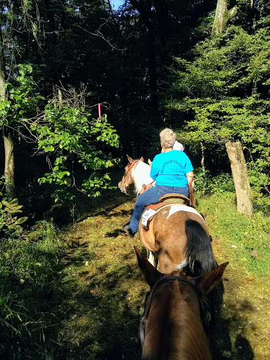 Observatory «Mingo Creek Park Observatory», reviews and photos, Little Mingo Rd, Venetia, PA 15367, USA