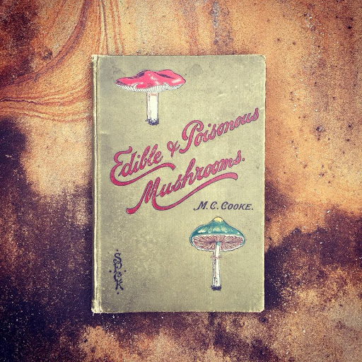 Book Store «Underground Books», reviews and photos, 102 Alabama St, Carrollton, GA 30117, USA