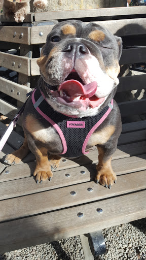 Park «Madison Square Park», reviews and photos, 11 Madison Ave, New York, NY 10010, USA