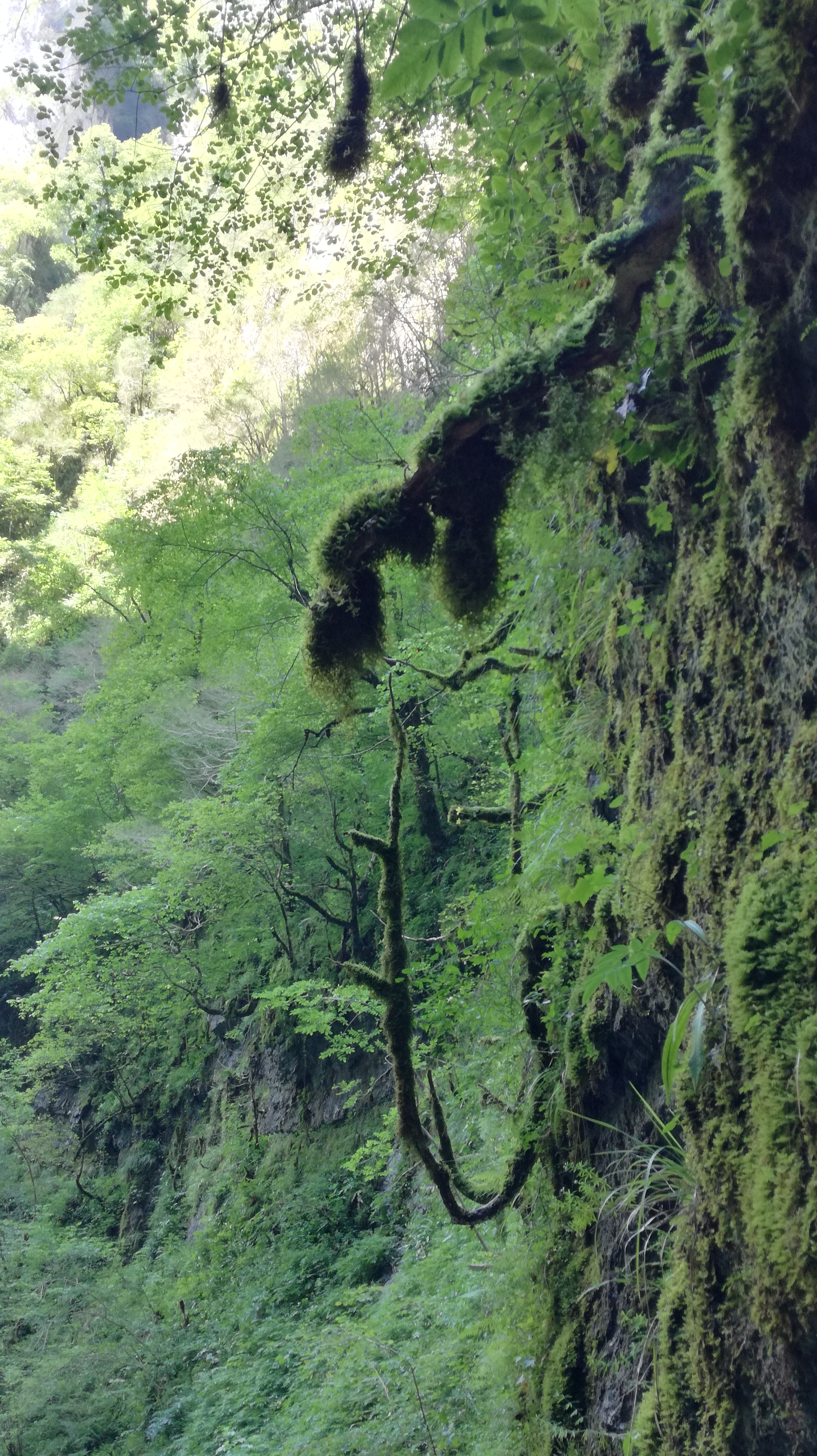 Photo n° 1 de l'avis de Corinne.u fait le 14/08/2018 à 21:11