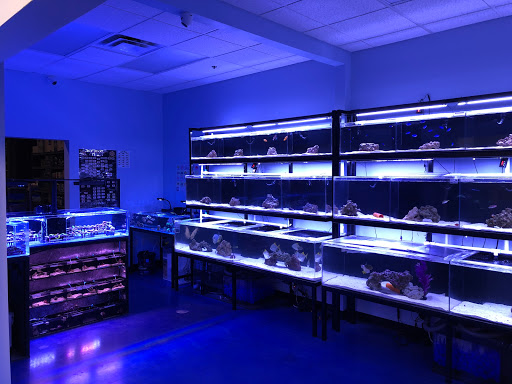 Aquarium «Artistic Aquariums, Inc», reviews and photos, 3400 N Arizona Ave #111, Chandler, AZ 85225, USA