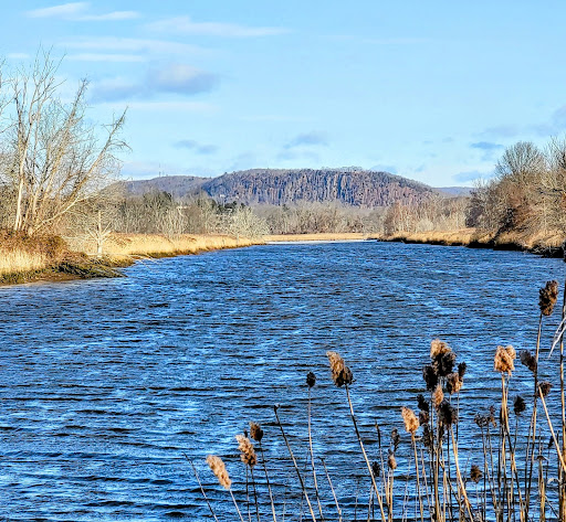 West River Memorial Park