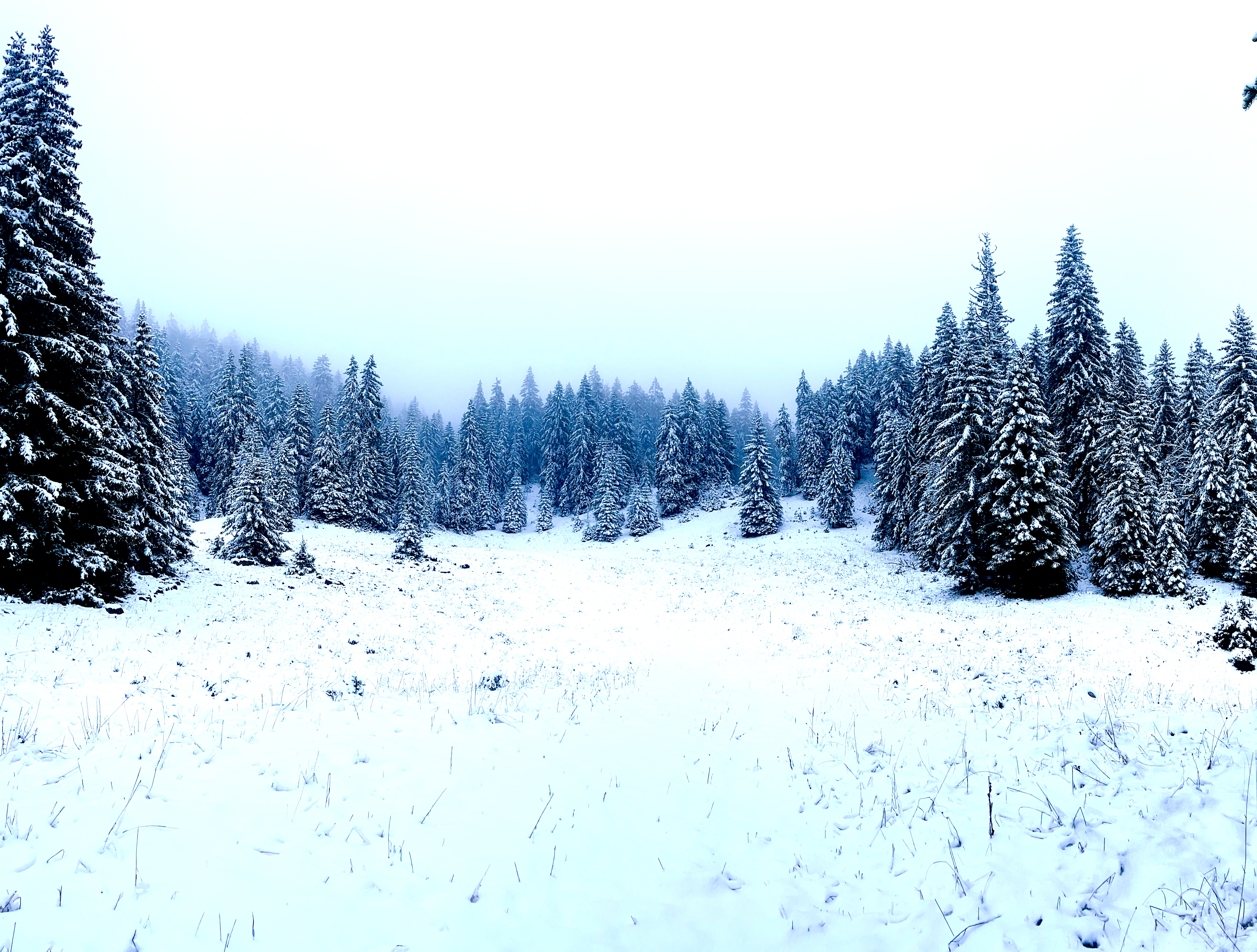 Photo n° 5 de l'avis de véronique.E fait le 04/11/2023 à 14:20