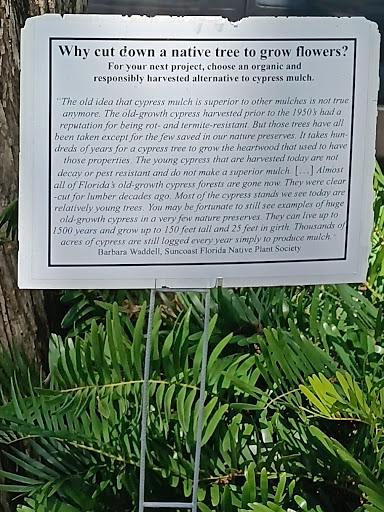 Plant Nursery «Wilcox Nursery», reviews and photos, 12501 Indian Rocks Rd, Largo, FL 33774, USA