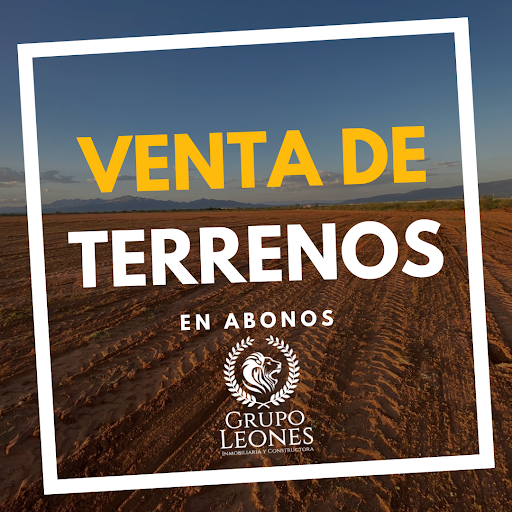 Grupo Leones Inmobiliaria y Constructora