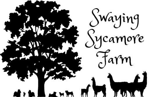 Swaying Sycamore Farm
