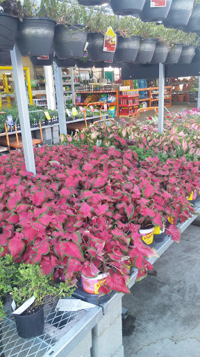 Home Improvement Store «The Home Depot», reviews and photos, 2801 James Sanders Blvd, Paducah, KY 42001, USA