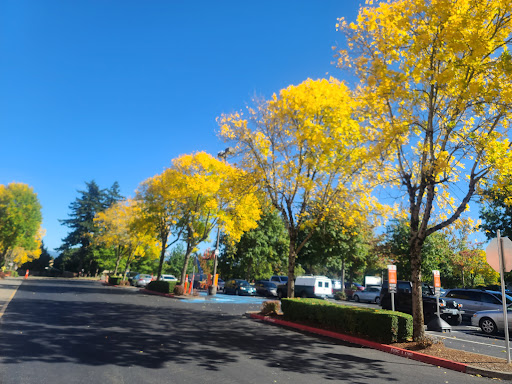 Home Improvement Store «The Home Depot», reviews and photos, 25101 SE Stark St, Troutdale, OR 97060, USA