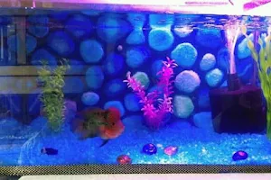 Unique Fish and Pet Shop image