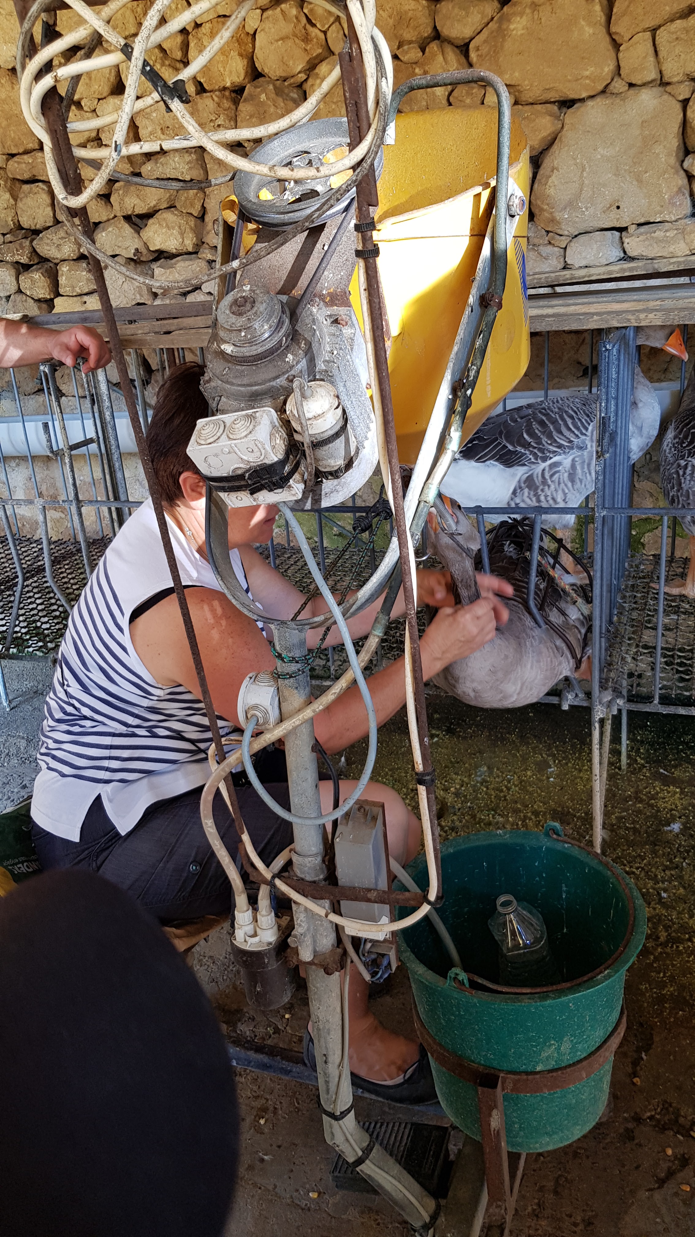 Photo n° 2 de l'avis de Rodolph.u fait le 22/08/2018 à 14:28