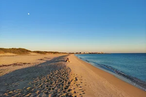 Spiaggia della Riserva naturale Salina Dei Monaci image