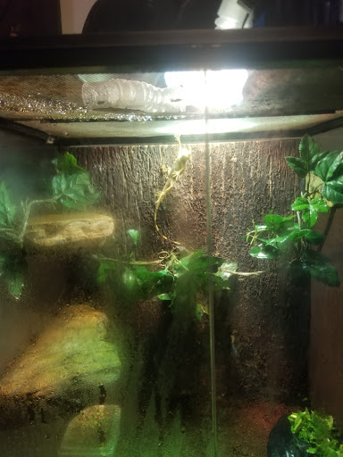 Pet Supply Store «Petco Animal Supplies», reviews and photos, 1419 Towne Square Blvd NW, Roanoke, VA 24019, USA