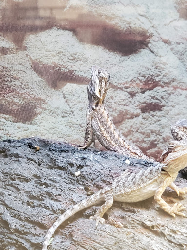 Pet Supply Store «Petco Animal Supplies», reviews and photos, 4491 Kirkwood Hwy, Wilmington, DE 19808, USA