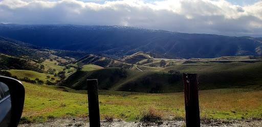 Pet Supply Store «Pet Food Express», reviews and photos, 1436 Old First St, Livermore, CA 94550, USA