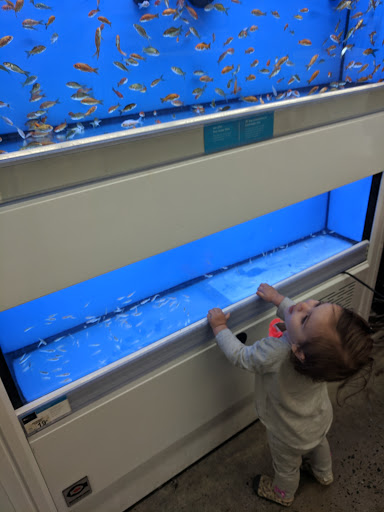 Pet Supply Store «Petco Animal Supplies», reviews and photos, 1175 Ulster Ave, Kingston, NY 12401, USA