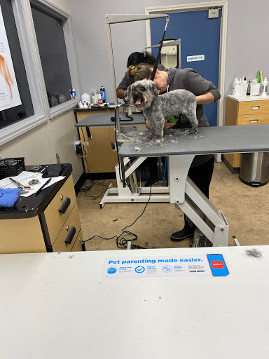 Pet Supply Store «Petco Animal Supplies», reviews and photos, 2310 S Shore Center, Alameda, CA 94501, USA