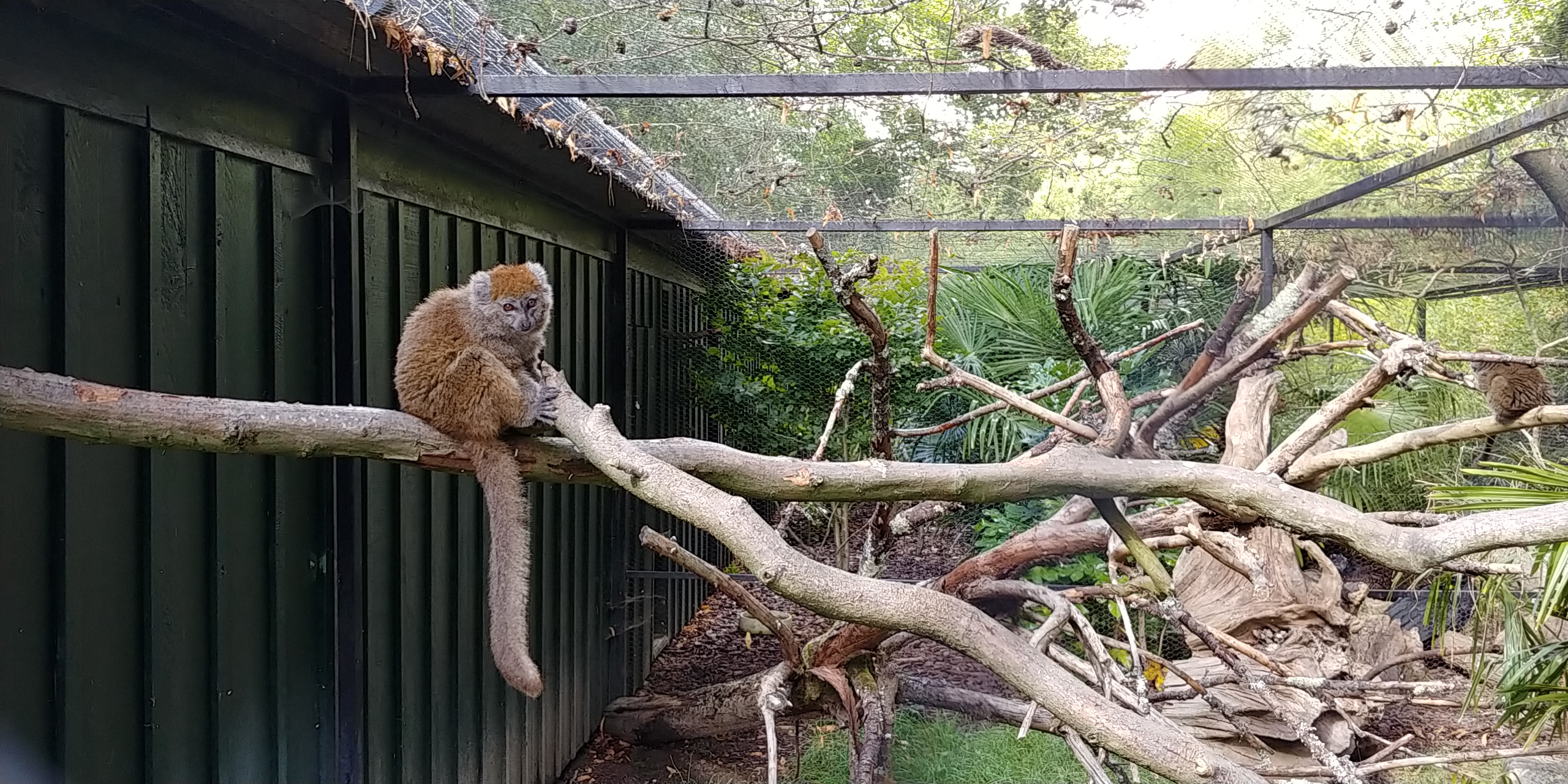 Photo n° 1 de l'avis de Pierre.u fait le 03/08/2020 à 21:38